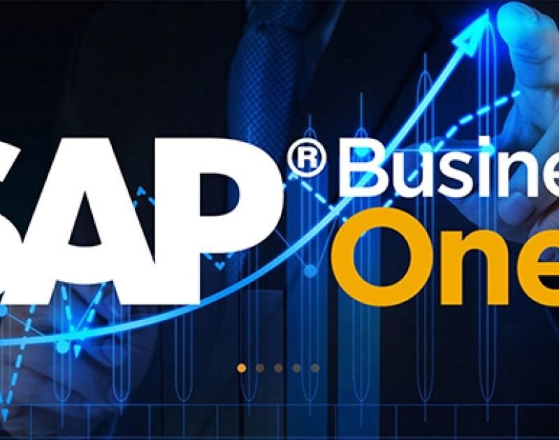 SAP Business One Professional Kullanıcı