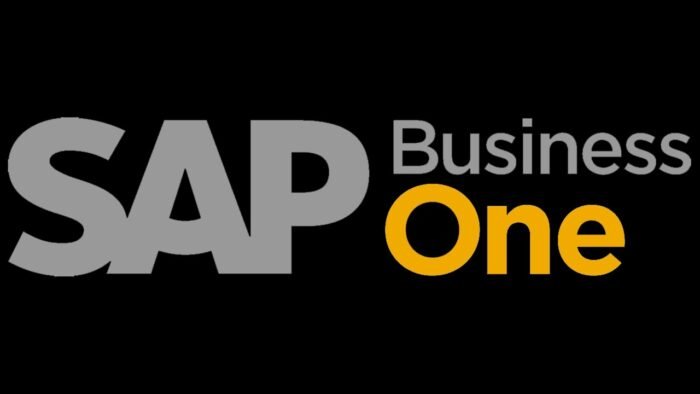 SAP Business One Professional Kullanıcı - Görsel 2